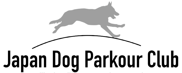 Dog Parkour